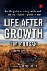 Life after growth : how the global economy really works - and why 200 years of growth are over