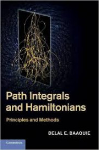 Path integrals and Hamiltonians : principles and methods
