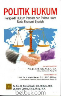 Politik hukum : perspektif  hukum perdata dan pidana Islam serta ekonomi Syariah