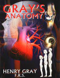 Gray's anatomy : descriptive and surgical