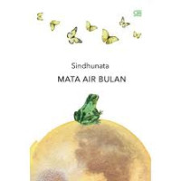 Mata air bulan