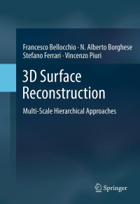 Image of 3D surface reconstruction : multi-scale hierarchical approaches