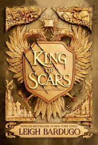 Image of King of scars = raja yang terluka
