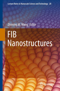Image of FIB Nanostructures
