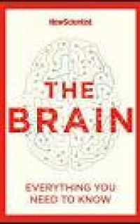 Image of The brain :  everything you need to know