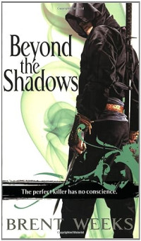Image of Beyond the shadows