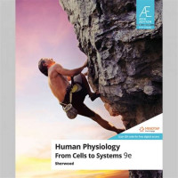 Image of Human physiology : from cells to systems